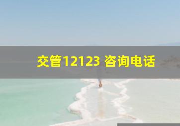 交管12123 咨询电话